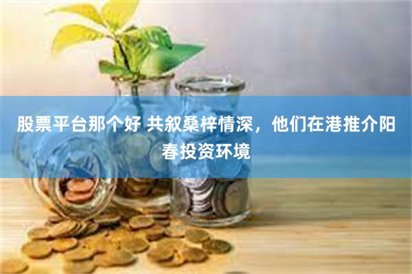 股票平台那个好 共叙桑梓情深，他们在港推介阳春投资环境