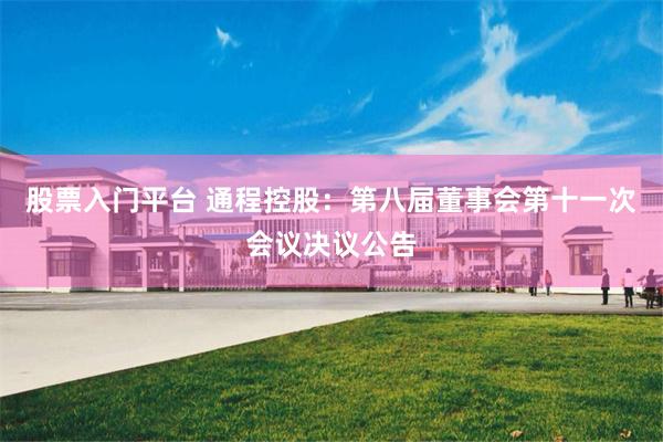 股票入门平台 通程控股：第八届董事会第十一次会议决议公告