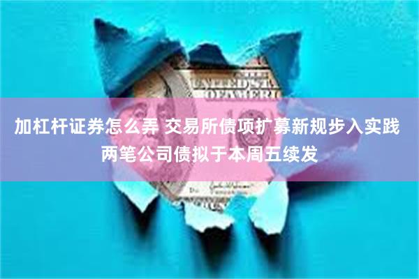 加杠杆证券怎么弄 交易所债项扩募新规步入实践 两笔公司债拟于本周五续发