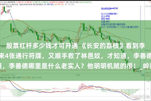 股票杠杆多少钱才可开通 《长安的荔枝》看到李善德从赵掌书手里再要来4张通行符牒，又顺手救了林邑奴，才知道，李善德哪里是什么老实人？他明明机贼的很！_岭南_立场坚定_试验