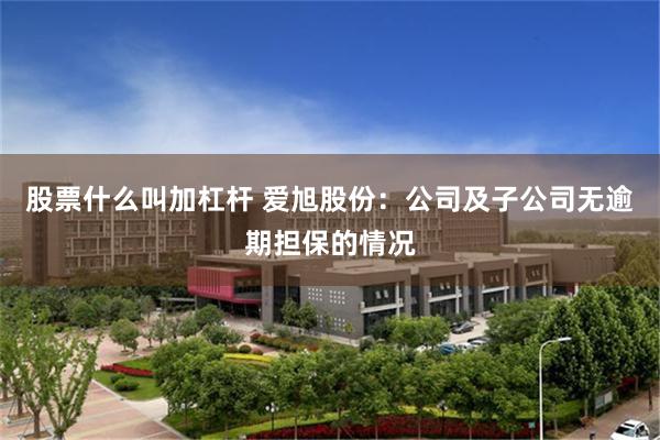 股票什么叫加杠杆 爱旭股份：公司及子公司无逾期担保的情况