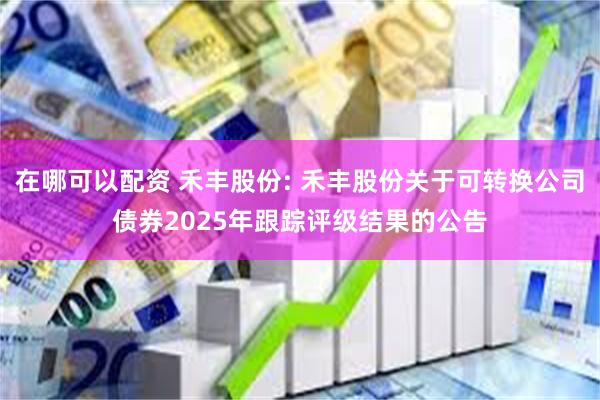 在哪可以配资 禾丰股份: 禾丰股份关于可转换公司债券2025年跟踪评级结果的公告