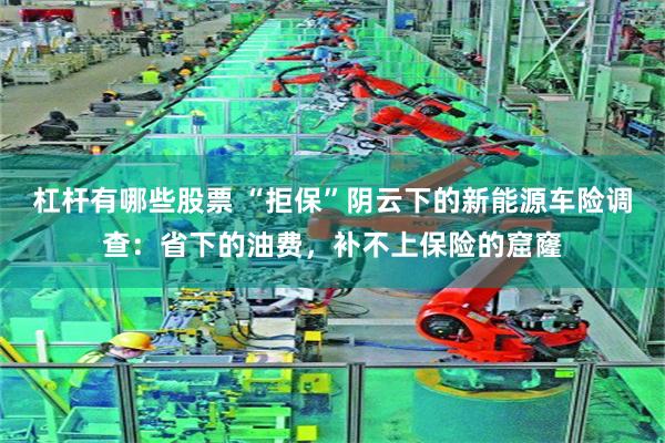 杠杆有哪些股票 “拒保”阴云下的新能源车险调查：省下的油费，补不上保险的窟窿