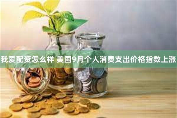 我爱配资怎么样 美国9月个人消费支出价格指数上涨