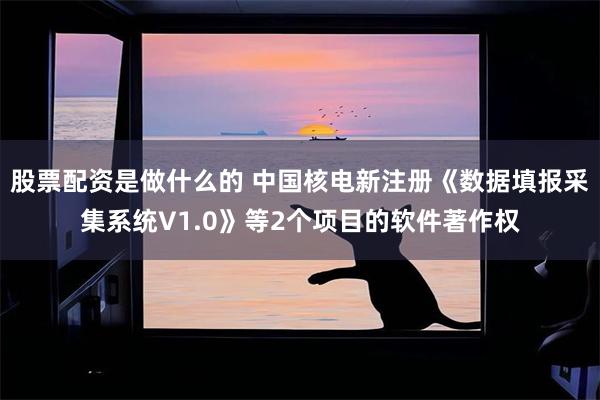 股票配资是做什么的 中国核电新注册《数据填报采集系统V1.0》等2个项目的软件著作权