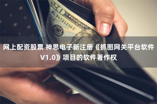 网上配资股票 神思电子新注册《抓图网关平台软件V1.0》项目的软件著作权