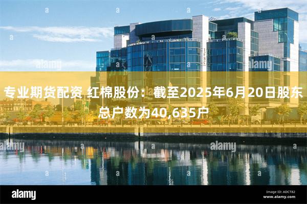 专业期货配资 红棉股份：截至2025年6月20日股东总户数为40,635户