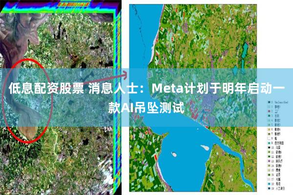 低息配资股票 消息人士：Meta计划于明年启动一款AI吊坠测试