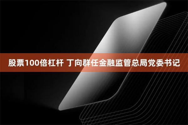 股票100倍杠杆 丁向群任金融监管总局党委书记