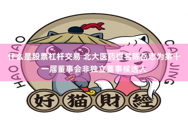 什么是股票杠杆交易 北大医药提名陈岳忠为第十一届董事会非独立董事候选人