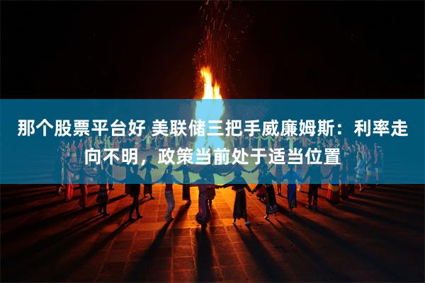 那个股票平台好 美联储三把手威廉姆斯：利率走向不明，政策当前处于适当位置