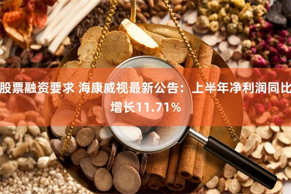 股票融资要求 海康威视最新公告：上半年净利润同比增长11.71%