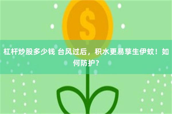 杠杆炒股多少钱 台风过后，积水更易孳生伊蚊！如何防护？