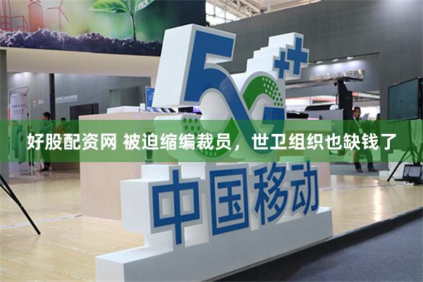 好股配资网 被迫缩编裁员，世卫组织也缺钱了