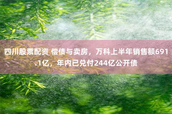 四川股票配资 偿债与卖房，万科上半年销售额691.1亿，年内已兑付244亿公开债
