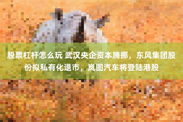 股票杠杆怎么玩 武汉央企资本腾挪,东风集团股份拟私有化退市,岚图汽车将登陆港股