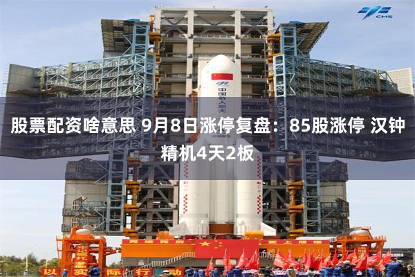 股票配资啥意思 9月8日涨停复盘：85股涨停 汉钟精机4天2板