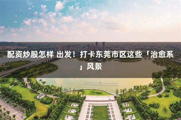 配资炒股怎样 出发！打卡东莞市区这些「治愈系」风景