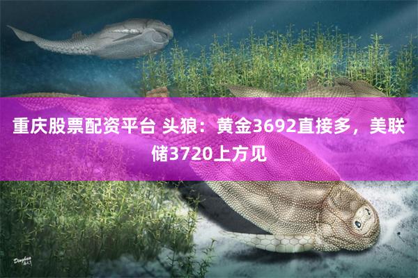 重庆股票配资平台 头狼：黄金3692直接多，美联储3720上方见