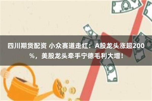四川期货配资 小众赛道走红：A股龙头涨超200%，美股龙头牵手宁德毛利大增！