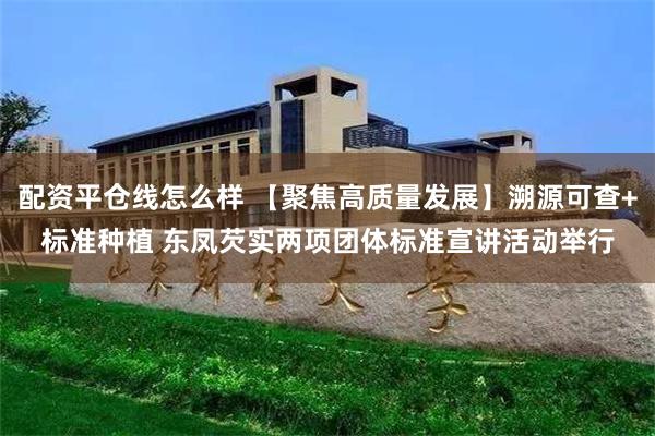 配资平仓线怎么样 【聚焦高质量发展】溯源可查+标准种植 东凤芡实两项团体标准宣讲活动举行