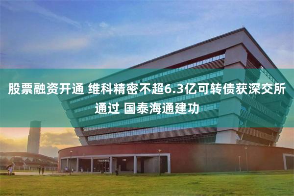 股票融资开通 维科精密不超6.3亿可转债获深交所通过 国泰海通建功