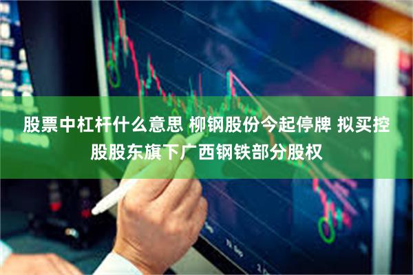 股票中杠杆什么意思 柳钢股份今起停牌 拟买控股股东旗下广西钢铁部分股权