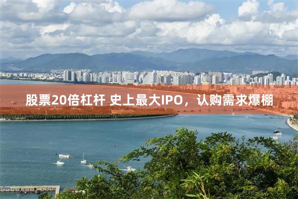 股票20倍杠杆 史上最大IPO，认购需求爆棚