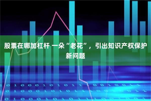 股票在哪加杠杆 一朵“老花”，引出知识产权保护新问题