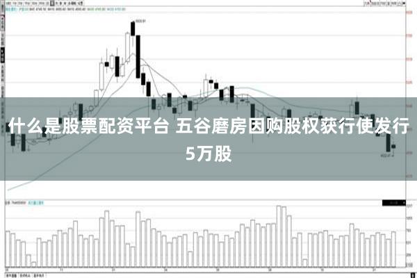什么是股票配资平台 五谷磨房因购股权获行使发行5万股