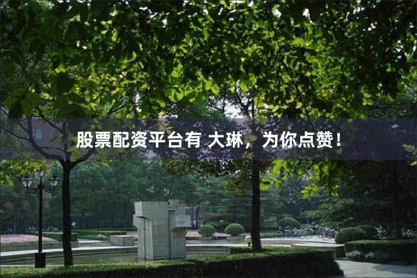 股票配资平台有 大琳,为你点赞!