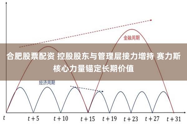 合肥股票配资 控股股东与管理层接力增持 赛力斯核心力量锚定长期价值