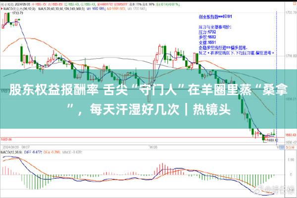 股东权益报酬率 舌尖“守门人”在羊圈里蒸“桑拿”，每天汗湿好几次｜热镜头