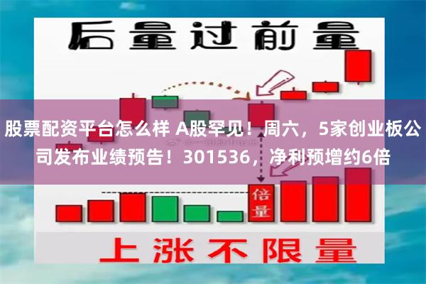 股票配资平台怎么样 A股罕见！周六，5家创业板公司发布业绩预告！301536，净利预增约6倍