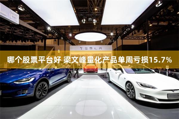 哪个股票平台好 梁文峰量化产品单周亏损15.7%