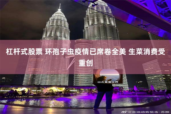 杠杆式股票 环孢子虫疫情已席卷全美 生菜消费受重创