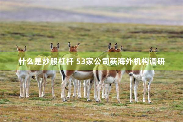 什么是炒股杠杆 53家公司获海外机构调研