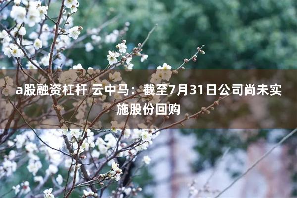 a股融资杠杆 云中马：截至7月31日公司尚未实施股份回购