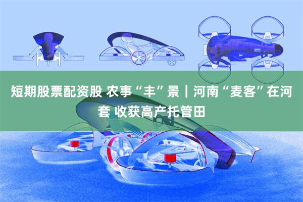 短期股票配资股 农事“丰”景｜河南“麦客”在河套 收获高产托管田