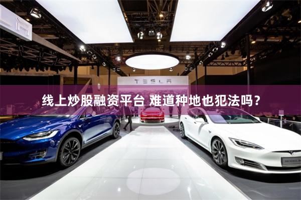 线上炒股融资平台 难道种地也犯法吗？