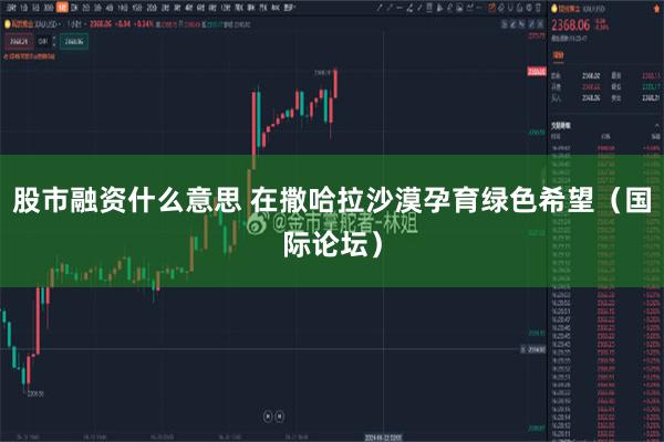 股市融资什么意思 在撒哈拉沙漠孕育绿色希望（国际论坛）