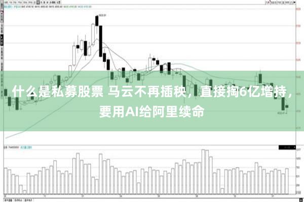 什么是私募股票 马云不再插秧,直接掏6亿增持,要用AI给阿里续命