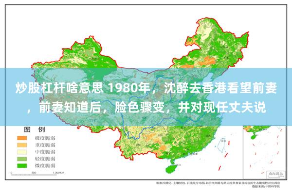 炒股杠杆啥意思 1980年，沈醉去香港看望前妻，前妻知道后，脸色骤变，并对现任丈夫说