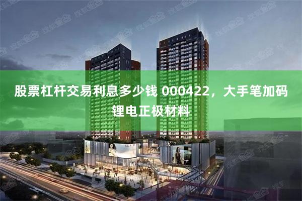 股票杠杆交易利息多少钱 000422，大手笔加码锂电正极材料