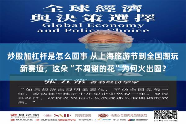 炒股加杠杆是怎么回事 从上海旅游节到全国潮玩新赛道，这朵“不凋谢的花”为何火出圈？