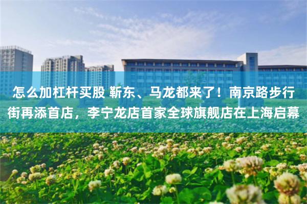 怎么加杠杆买股 靳东、马龙都来了!南京路步行街再添首店,李宁龙店首家全球旗舰店在上海启幕