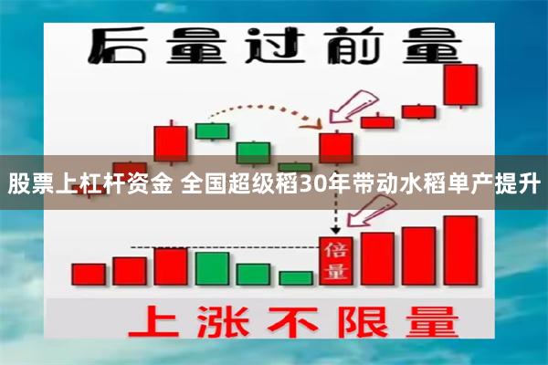 股票上杠杆资金 全国超级稻30年带动水稻单产提升