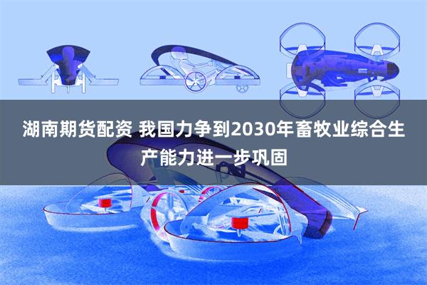 湖南期货配资 我国力争到2030年畜牧业综合生产能力进一步巩固