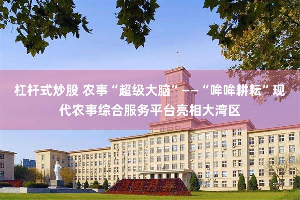 杠杆式炒股 农事“超级大脑”——“哞哞耕耘”现代农事综合服务平台亮相大湾区