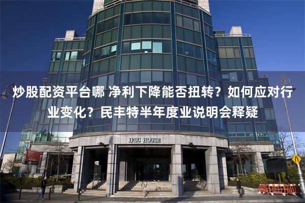 炒股配资平台哪 净利下降能否扭转？如何应对行业变化？民丰特半年度业说明会释疑